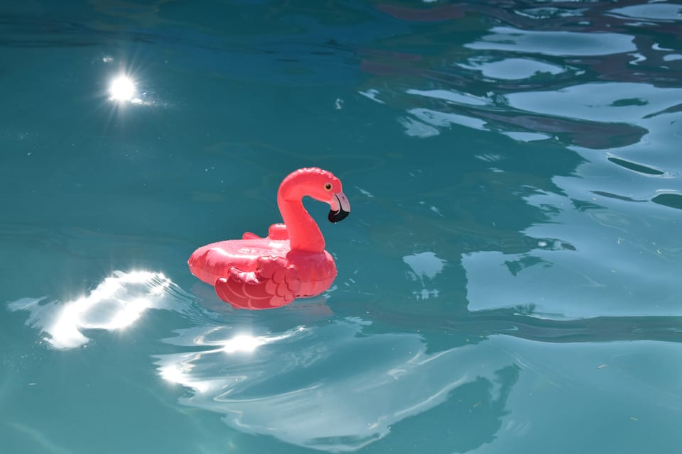 Beware the Summer Daze: Refocusing for the vacation period