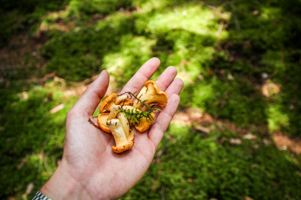The Definitive Guide to Funding Your Alternative Entrepreneurial Project